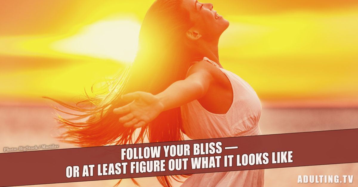 Follow Your Bliss — Or At Least Figure Out What It Looks Like